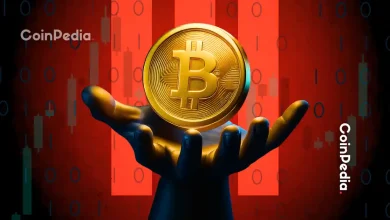 Exclusive: Bitcoin Price Surges Past 5,000, Bitwise Strategist Reveals Next Steps.