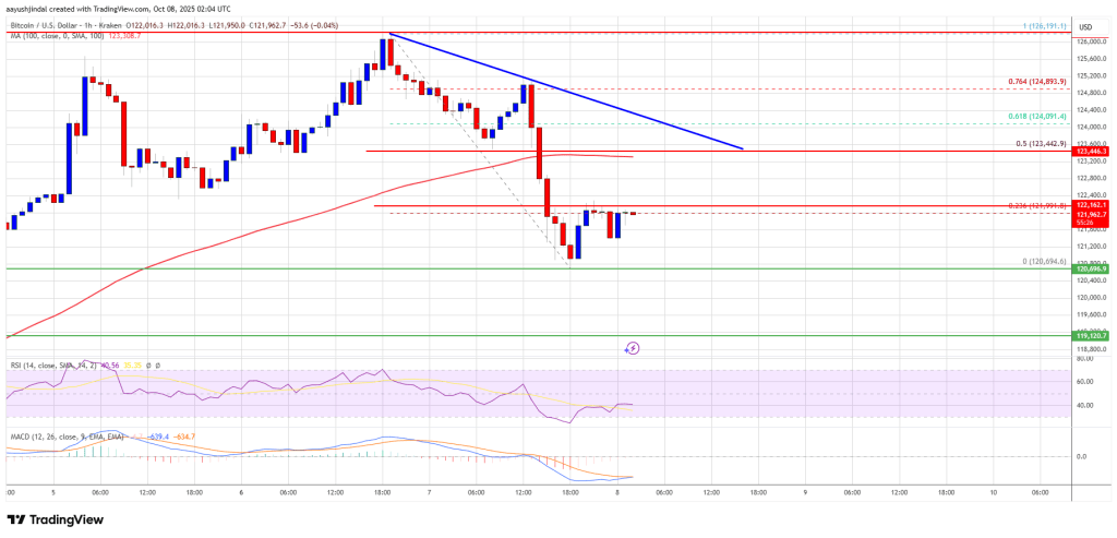 Bitcoin Price Falls from Highs - Is the Market Signaling a Short-Term Peak?