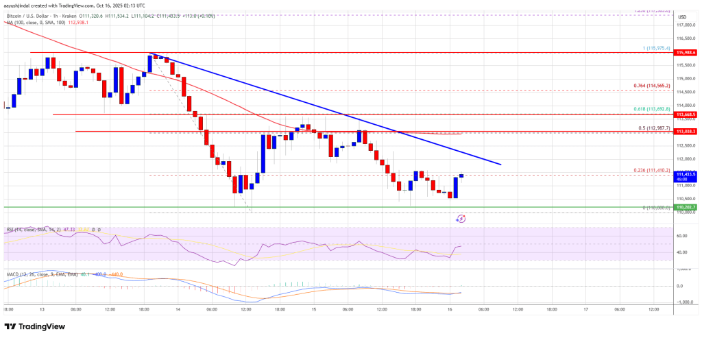 Bitcoin Price Volatility - Is a Significant Downward Trend on the Horizon?