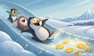 PENGU Stock Surges by 9% in Strong Rebound after Weeks of Losses - Details