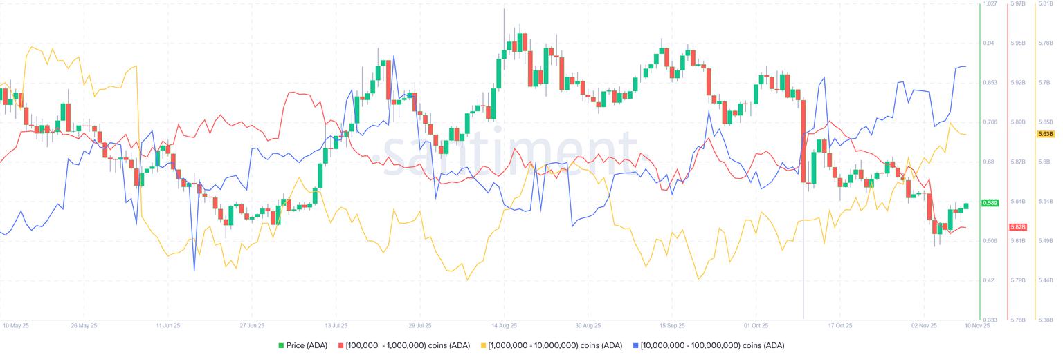 卡尔达诺价格展望：ADA 显示复苏迹象，巨鲸持续增持推动上涨趋势。